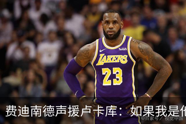 费迪南德声援卢卡库：如果我是他 我可能会疯